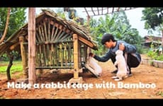 Orphan Boy - Build a dream house, Make a rabbit cage with Bamboo | Orphan Boy