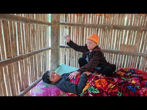 Orphan boy - Seriously sick, the old woman picked tomatoes and cabbage to sell and buy rice medicine