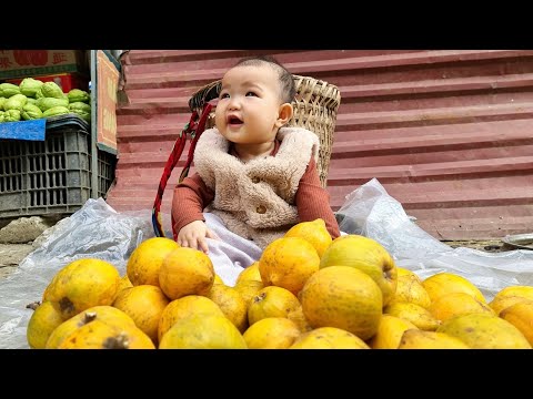 FULL VIDEO 30 DAYS: Harvest days of Lekima, Tricolor sticky Rice, Giant Cabbage, Fish....