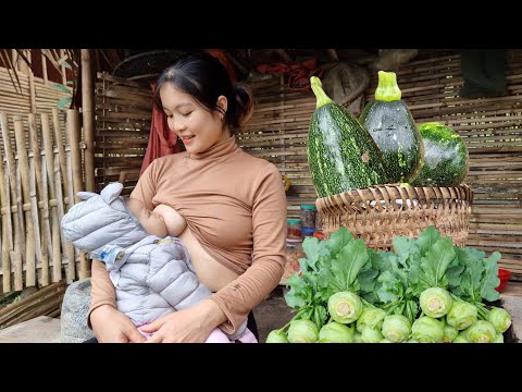 Harvesting Squash, Kohlrabi to sell - Cook pork bones stewed with Kohlrabi & Wood ear Mushrooms