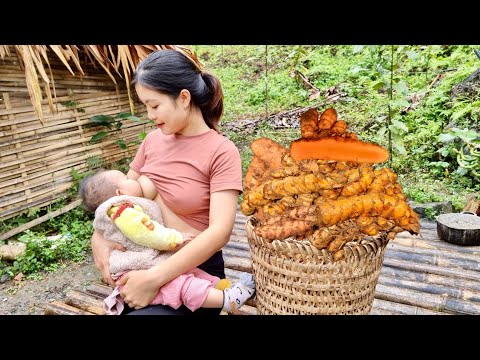 Harvesting Turmeric Roots to sell, Sewing torn Pants for your child, Cooking, Fertilizing the Garden