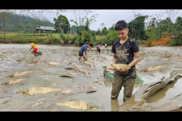 Orphan Boy - Go with the villagers to catch fish, collect snails to sell, raise pigs and chickens