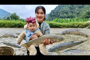 Process of Harvesting Fish & Snails sold at the Farm - Grilled fish - Cooking - Small Children.