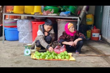 The Orphan Boy - Picking chayote to sell with the old lady, Exchange for food, Earn a living