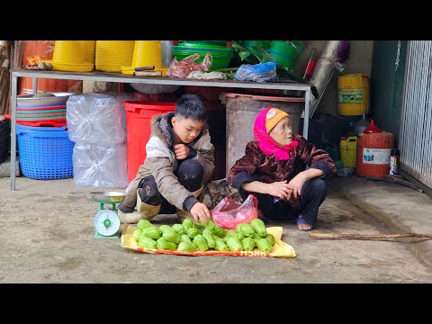 The Orphan Boy - Picking chayote to sell with the old lady, Exchange for food, Earn a living