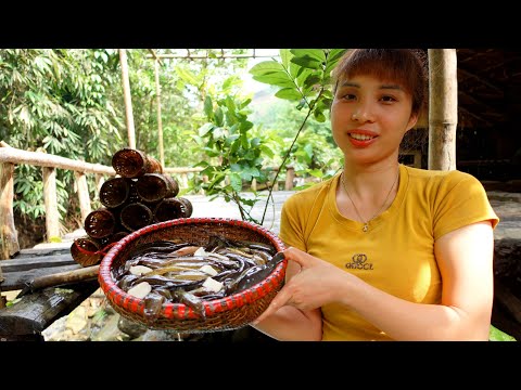 365 days gardening raising fish, From start to harvest goes to the market sell | Ana Bushcraft