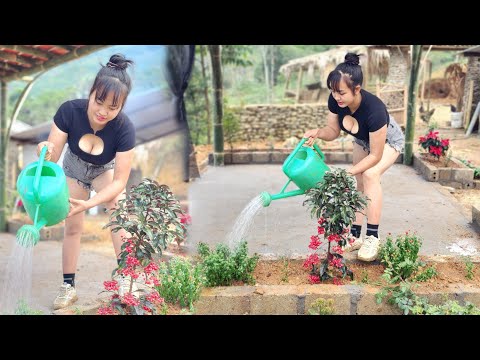 Build a bamboo resort hut: Buy flowers to plant around the hut, release koi fish|Trieu Thi Hoa