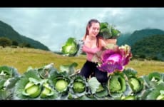 Cabbage Harvest Toad Fruit Go market sell - Cooking Gardening | Ngân Daily Life