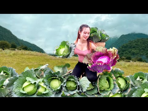 Cabbage Harvest Toad Fruit Go market sell - Cooking Gardening | Ngân Daily Life