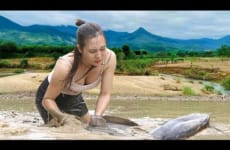 Catching big fish in the swamp - Hard work - Cooking smoke-dried fish | Ngân Daily Life