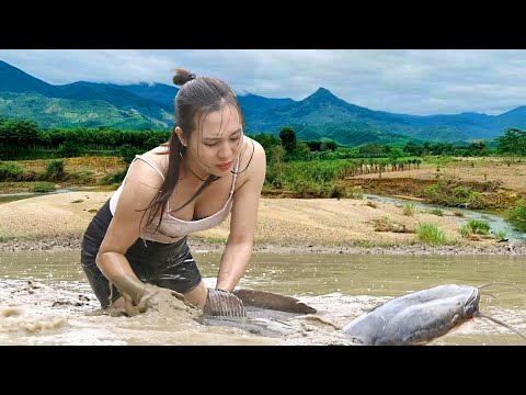 Catching big fish in the swamp - Hard work - Cooking smoke-dried fish | Ngân Daily Life