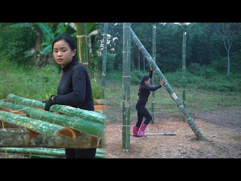 Cutting Bamboo, Chiseling Termites, Digging soil To make a frame - Young Girl and bamboo house.