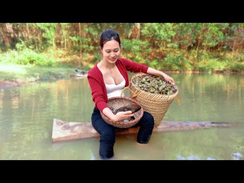 Discover the Delight of Catching - Cooking Fresh Clams | Ngân Daily Life