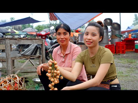 FULL VIDEO : Harvest vegetables,fruits and catch chickens Goes to the market sell - Ana Bushcraft