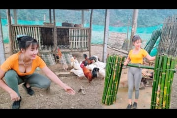 Farm life: Chopping bamboo to complete the new chicken coop, Single mom Build farm