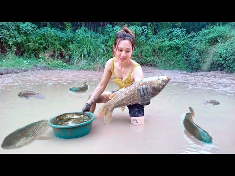 Girl scoops water, catches fish and prepares fish dishes - Harvesting Vegetables | Ngân Daily Life