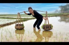 Happy season days - Planting new crops - Taking care of the pigs on the farm | Ngân Daily Life