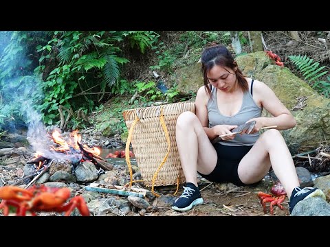 Harvest fruits Vegetables, go to the Vorest and wade streams to catch Stone crabs -| Ngân Daily Life