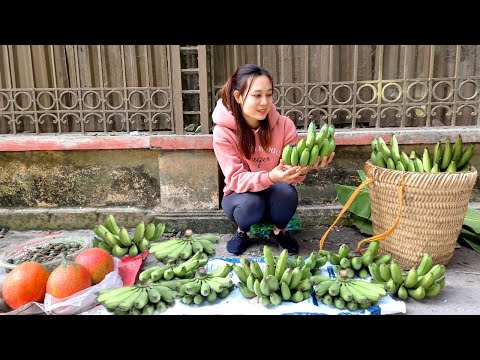 Harvesting Banana Fruit Garden Goes to the market sell | Ngân Daily Life