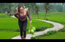 Harvesting Coconut Fruit Goes to market sell - How to make Coconut Jam | Ngân Daily Life