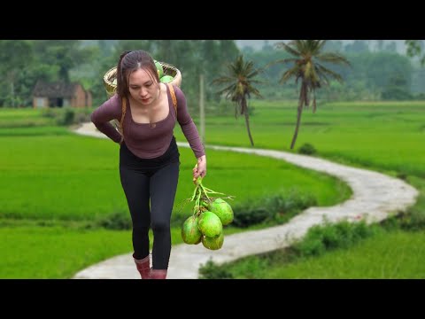 Harvesting Coconut Fruit Goes to market sell - How to make Coconut Jam | Ngân Daily Life