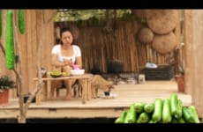 Harvesting Gourd Garden Goes to the market sell - Cooking - Puppy | Ngân Daily Life