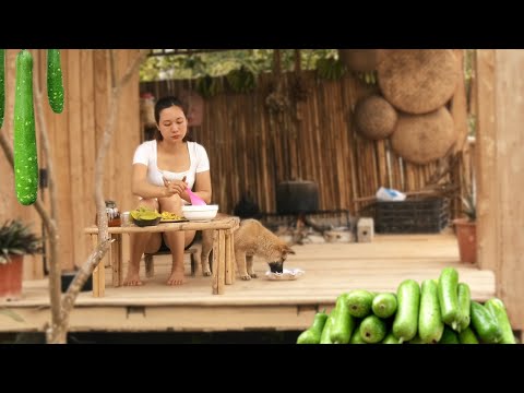 Harvesting Gourd Garden Goes to the market sell - Cooking - Puppy | Ngân Daily Life