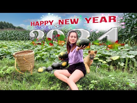 Harvesting Pumpkin & Vegetables Garden Goes to the market sell | Ngân Daily Life