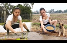 How to sow rice seeds in green fields - Take care of the farm Cooking banana cake | Ngân Daily Life