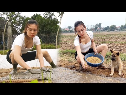 How to sow rice seeds in green fields - Take care of the farm Cooking banana cake | Ngân Daily Life