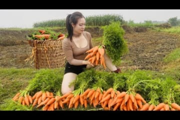 New day taking care of the Farm - Harvesting carrots-Going to the market to sell | Ngân Daily Life