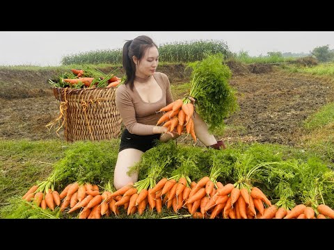 New day taking care of the Farm - Harvesting carrots-Going to the market to sell | Ngân Daily Life