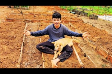 Orphan Boy daily life - Vegetable gardening - Taking care of pets at the farm #2