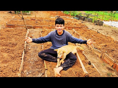 Orphan Boy daily life - Vegetable gardening - Taking care of pets at the farm #2