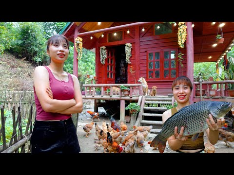 Rebuilding Cabin After 3 Months of Illness - Gardening - naturally raise FISH | Ana Bushcraft