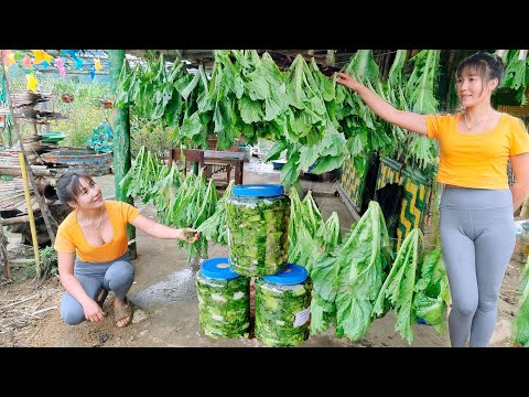 Single mother: Harvesting upland vegetables to make pickles, collecting firewood for the cold winter