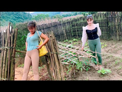 TIMELAPSE: 30 Days of life on the farm, Harvesting vegetables for sale, Raising livestock