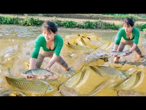 TIMELAPSE: Top good videos of poor girls' lives, Repairs, Construction and farm development