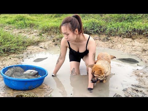 While sowing seeds, suddenly encounter a big fish - Cook delicious fish dish | Ngân Daily Life